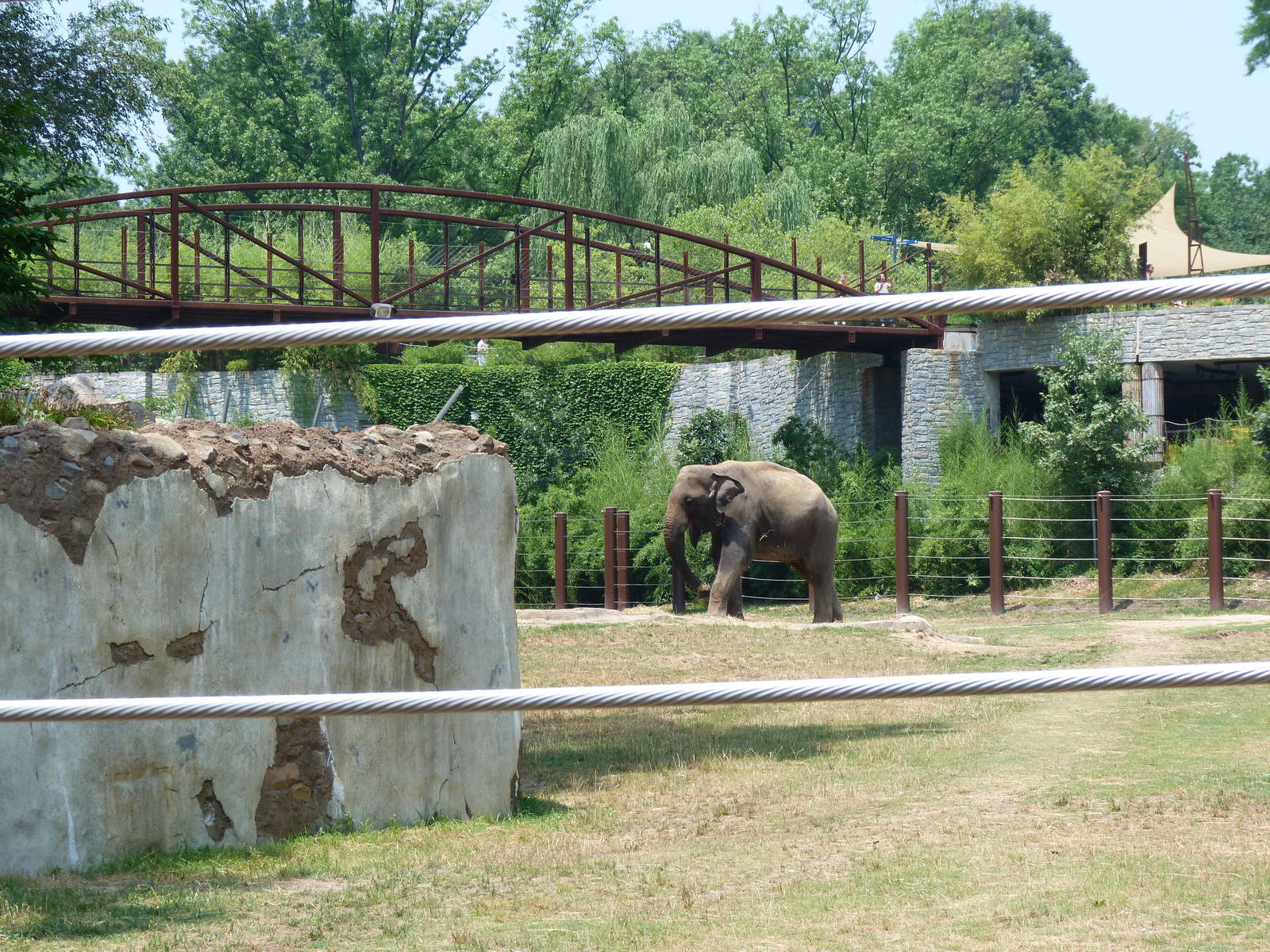 Elephant Exhibit