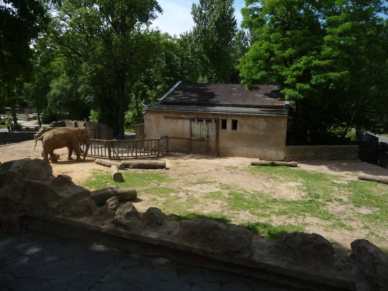 Elephant exhibit