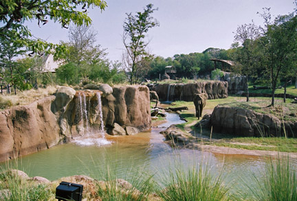 elephant exhibit