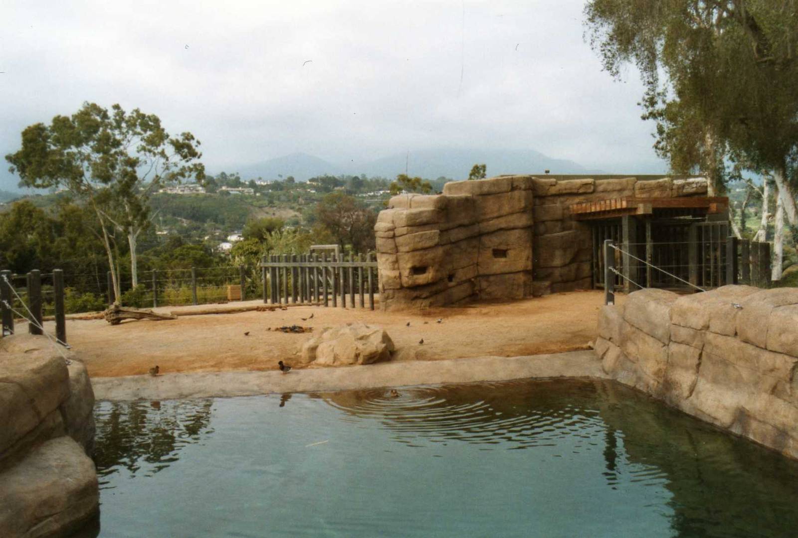Elephant Exhibit