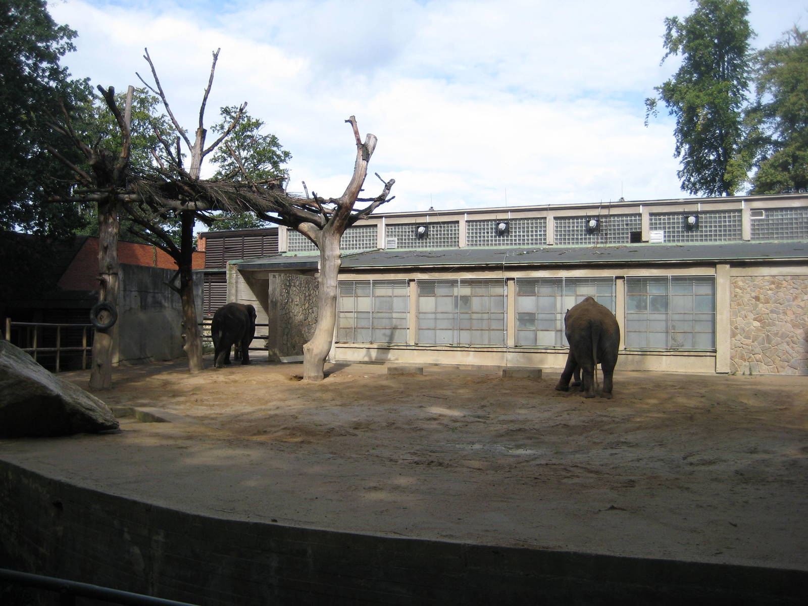Elephant exhibit