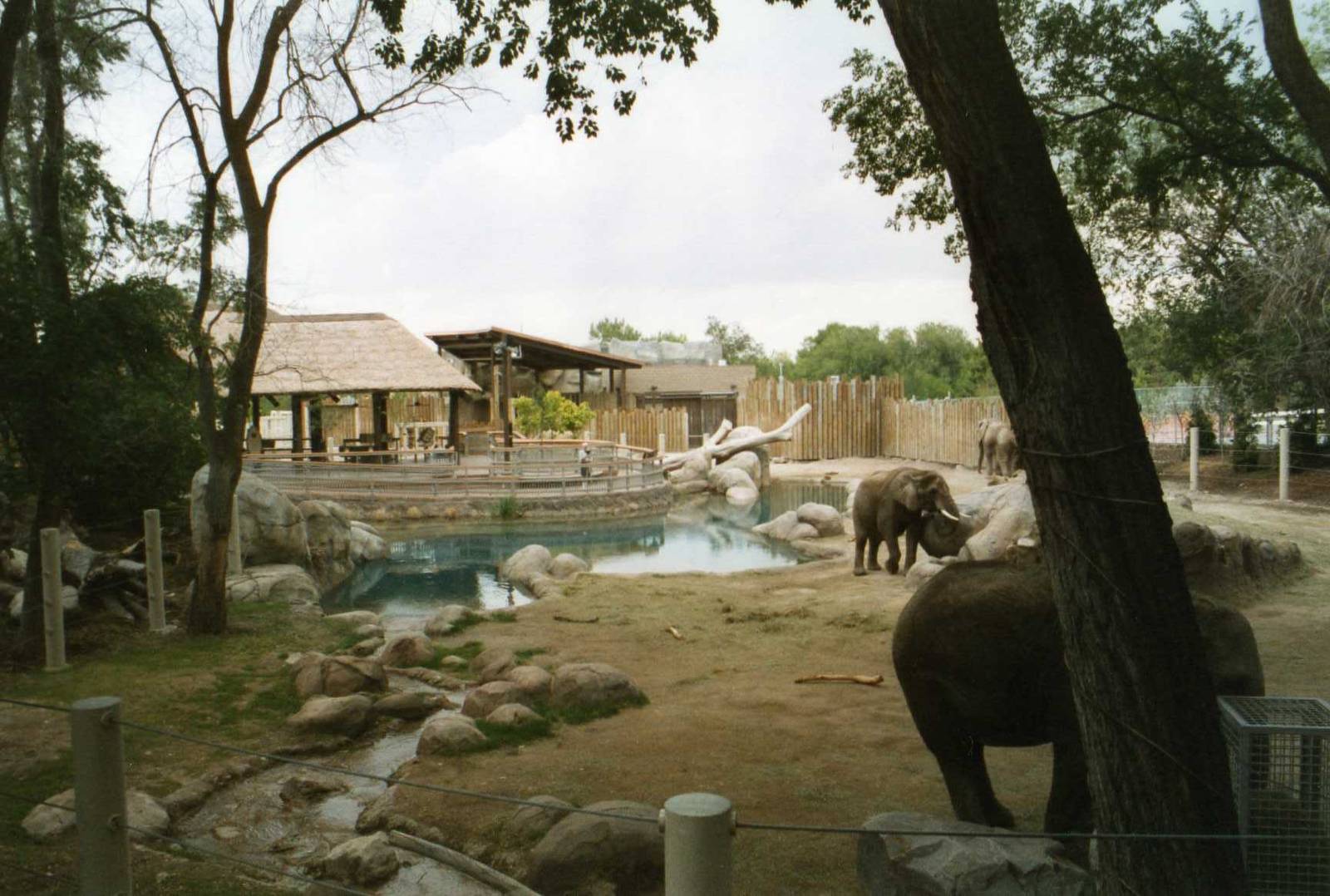 Elephant Exhibit