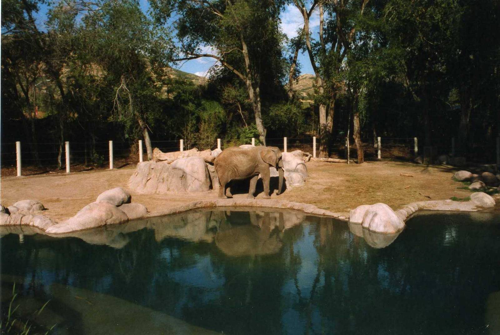 Elephant exhibit