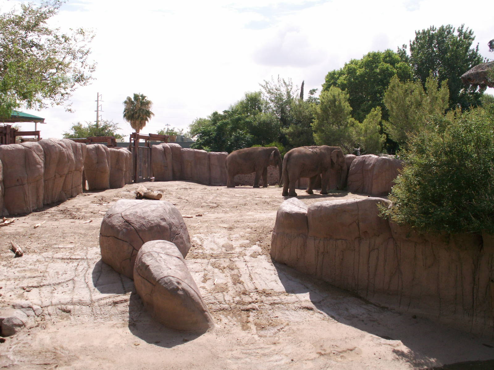 elephant exhibit