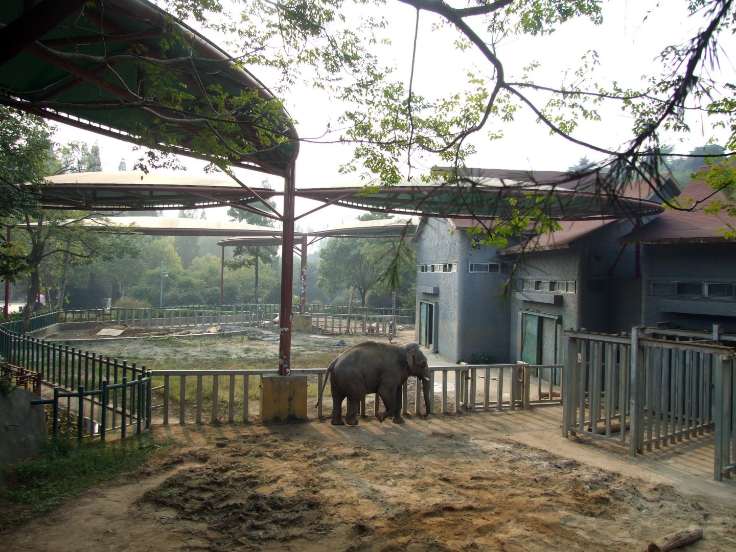 Elephant exhibit