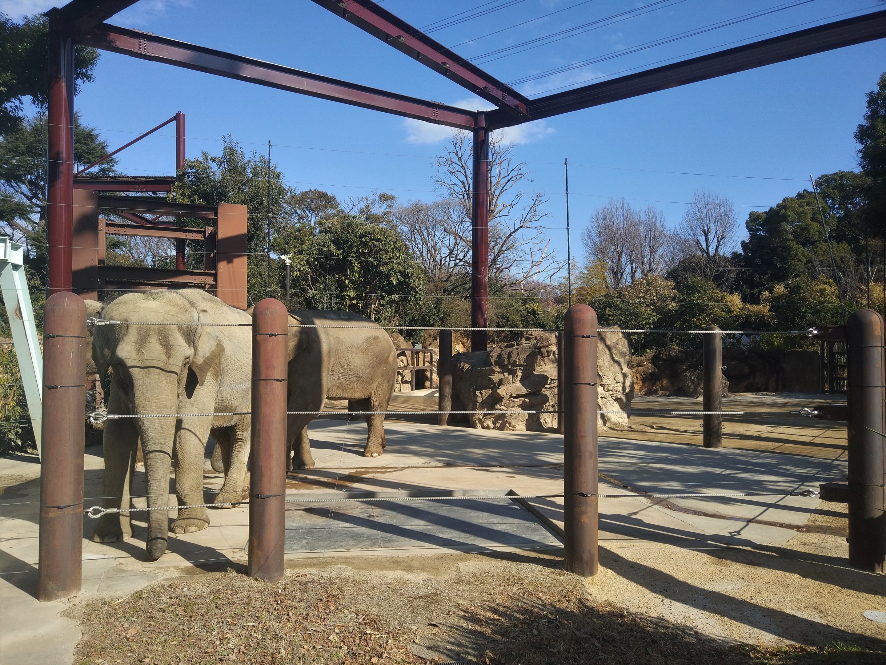 Elephant Exhibit