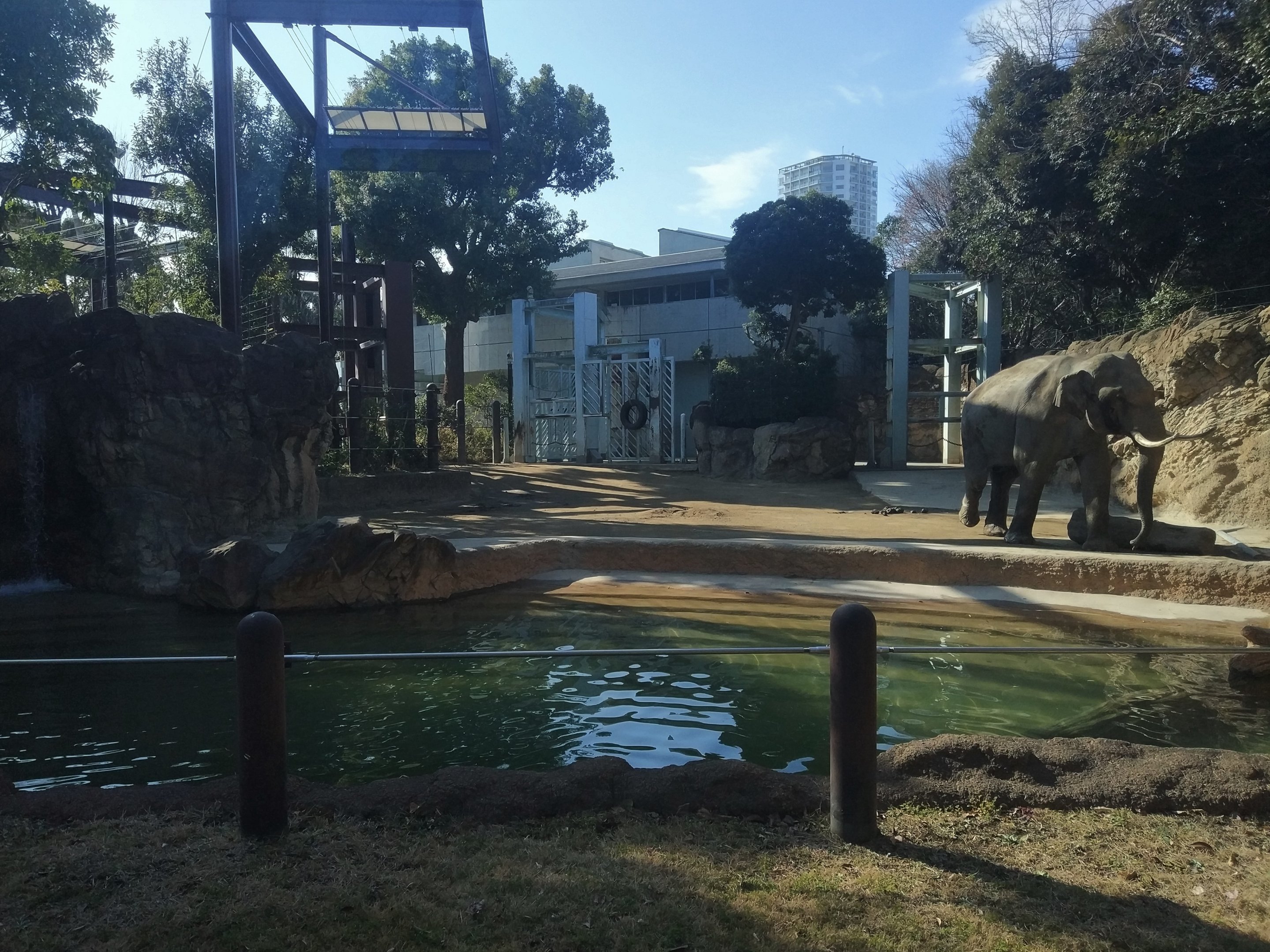 Elephant Exhibit