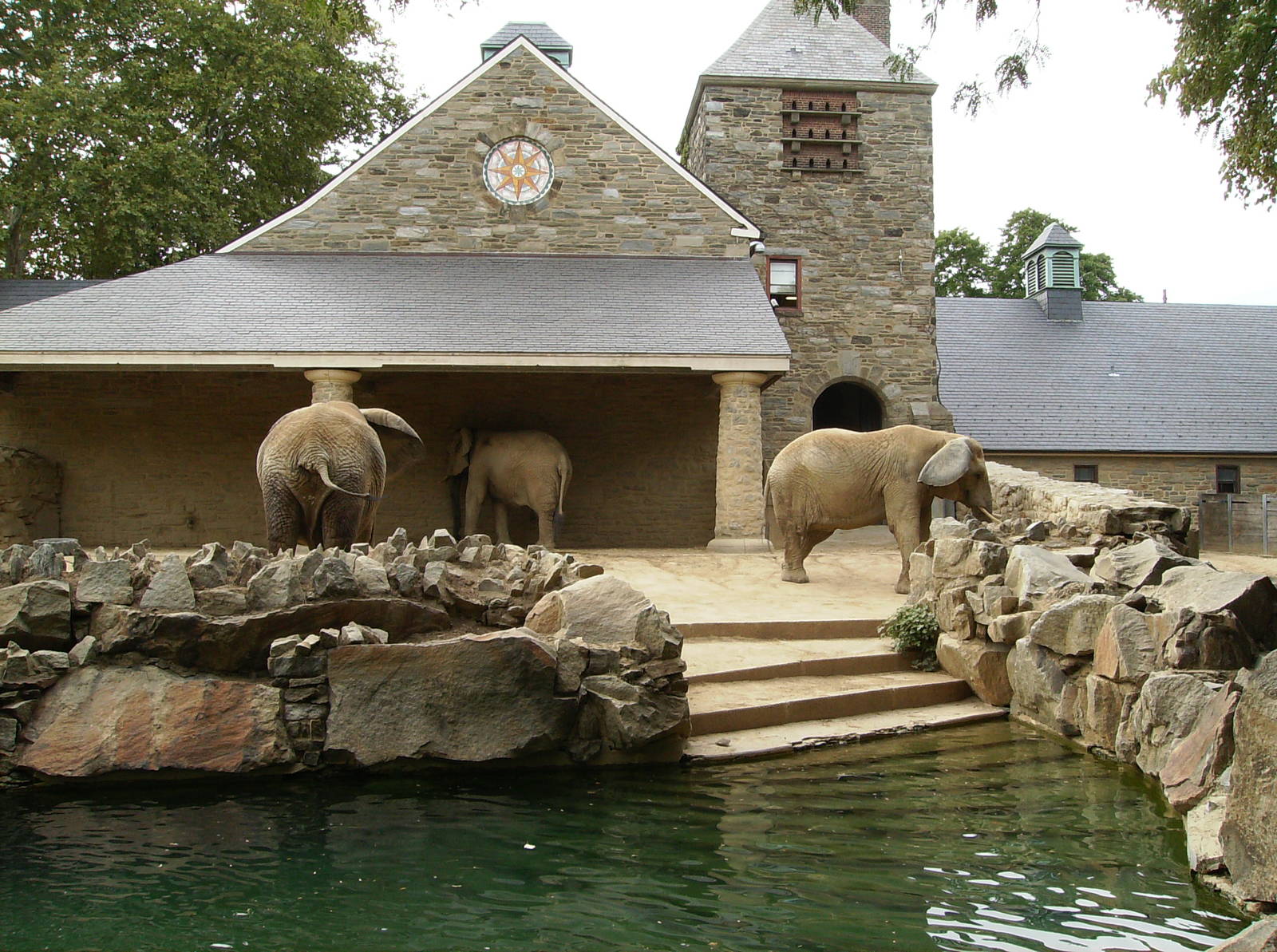 Elephant exhibit