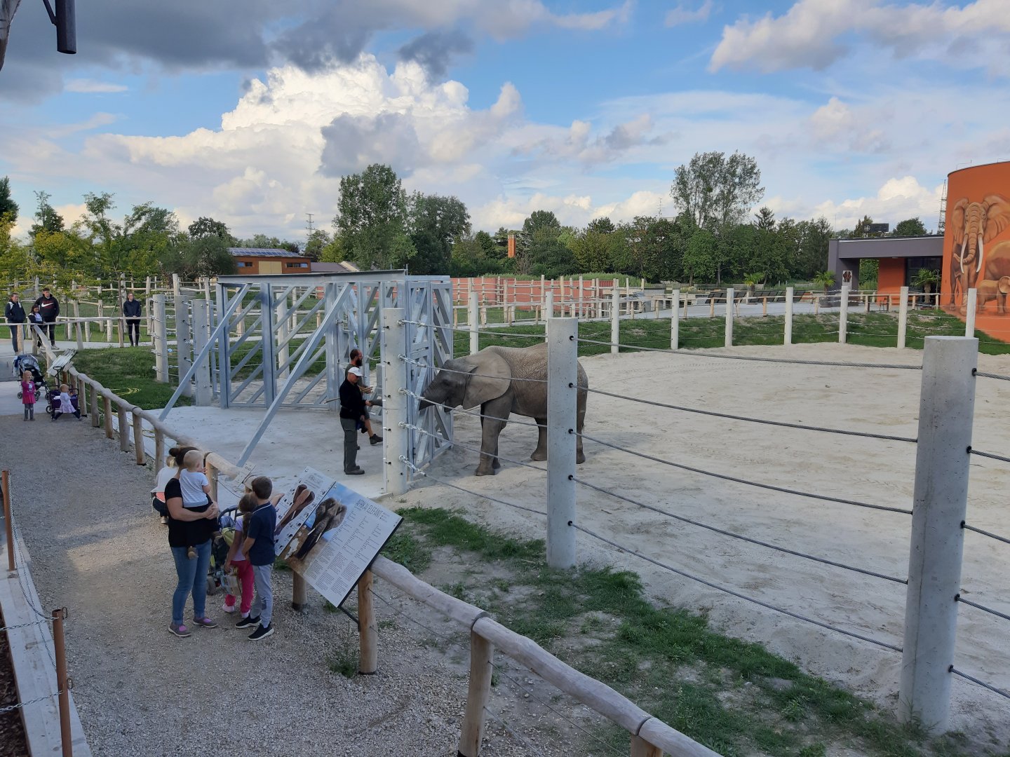 Elephant exhibit