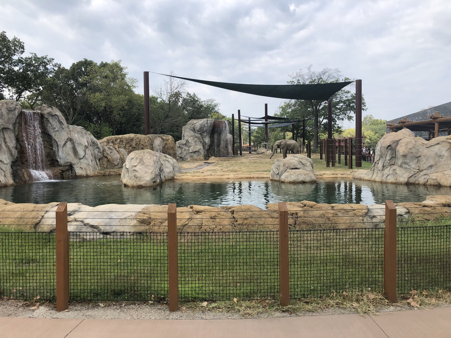 Elephant Exhibit