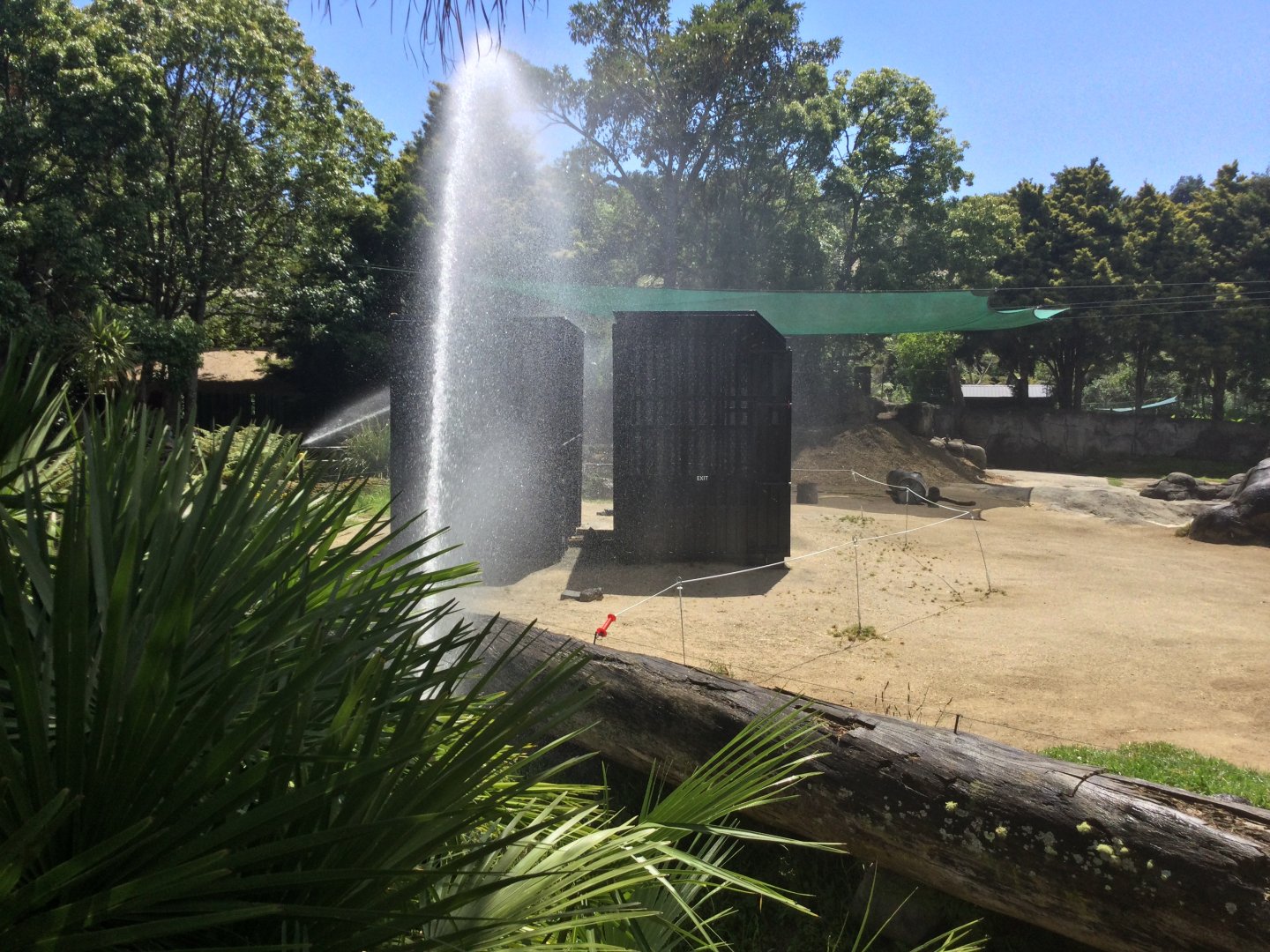 Elephant Export Crates