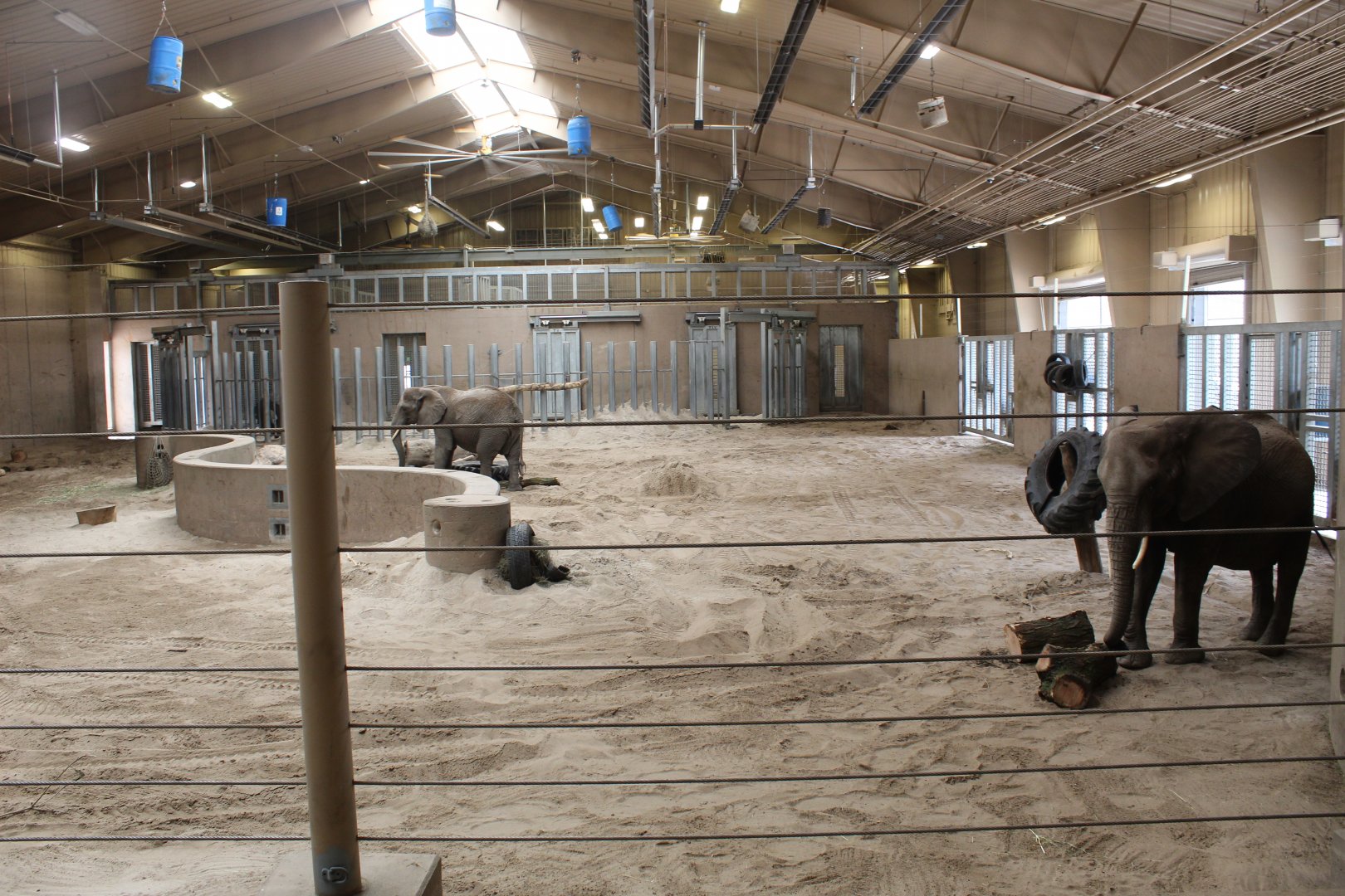 Elephant Family Quarters - African Grasslands