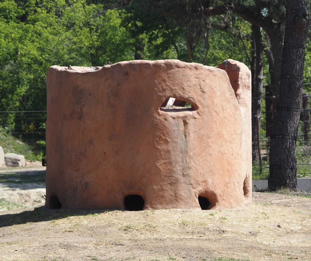 Elephant feeder in the African elephant valley, 2025-04-30