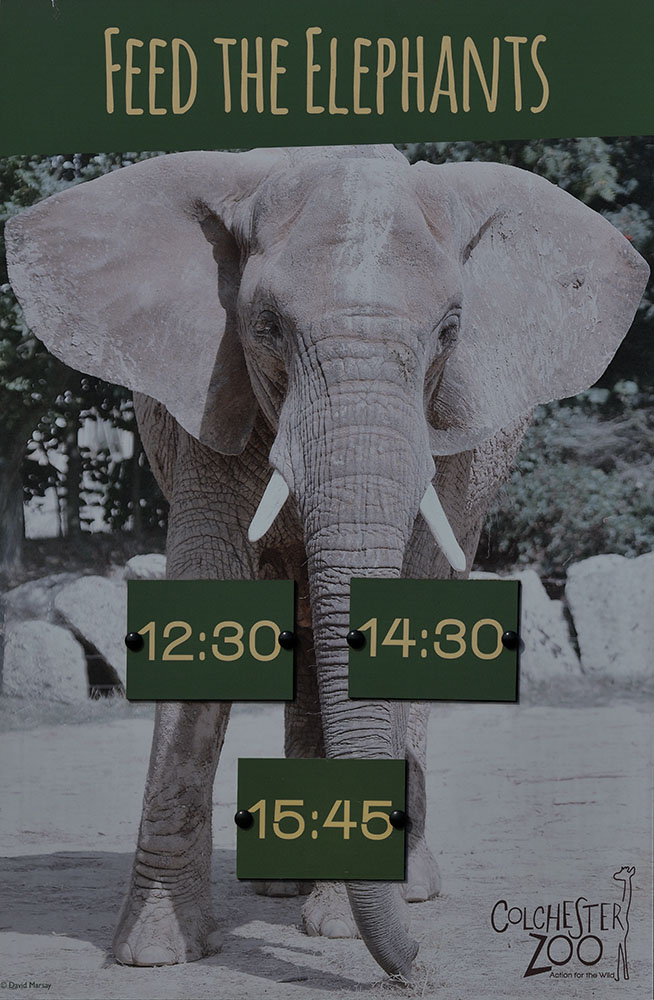 Elephant Feeding sign