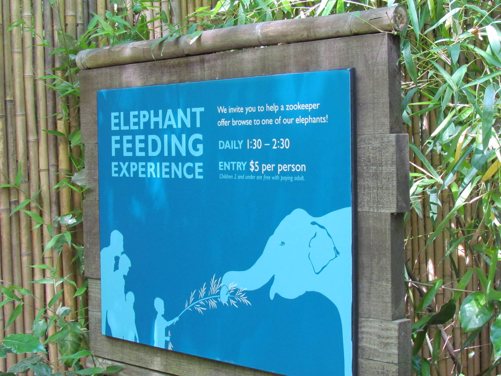 Elephant Forest - Elephant Feeding Sign