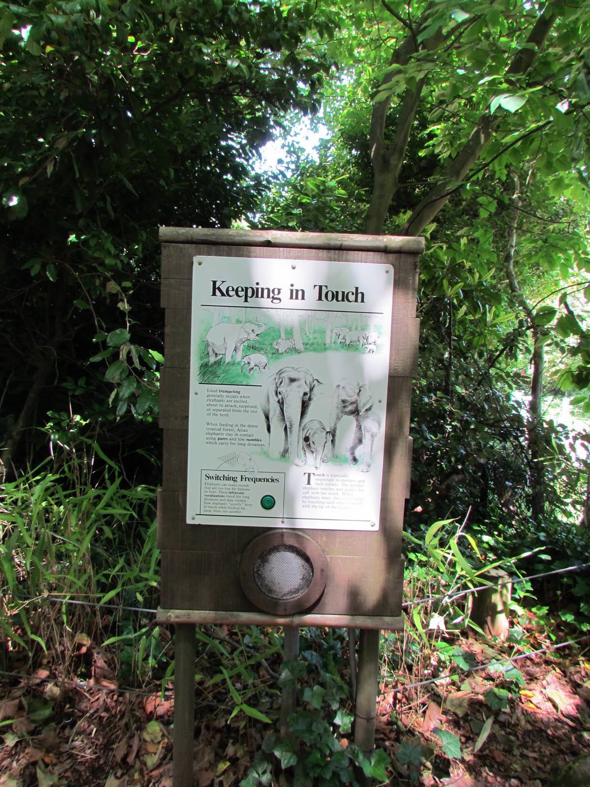 Elephant Forest - Signage