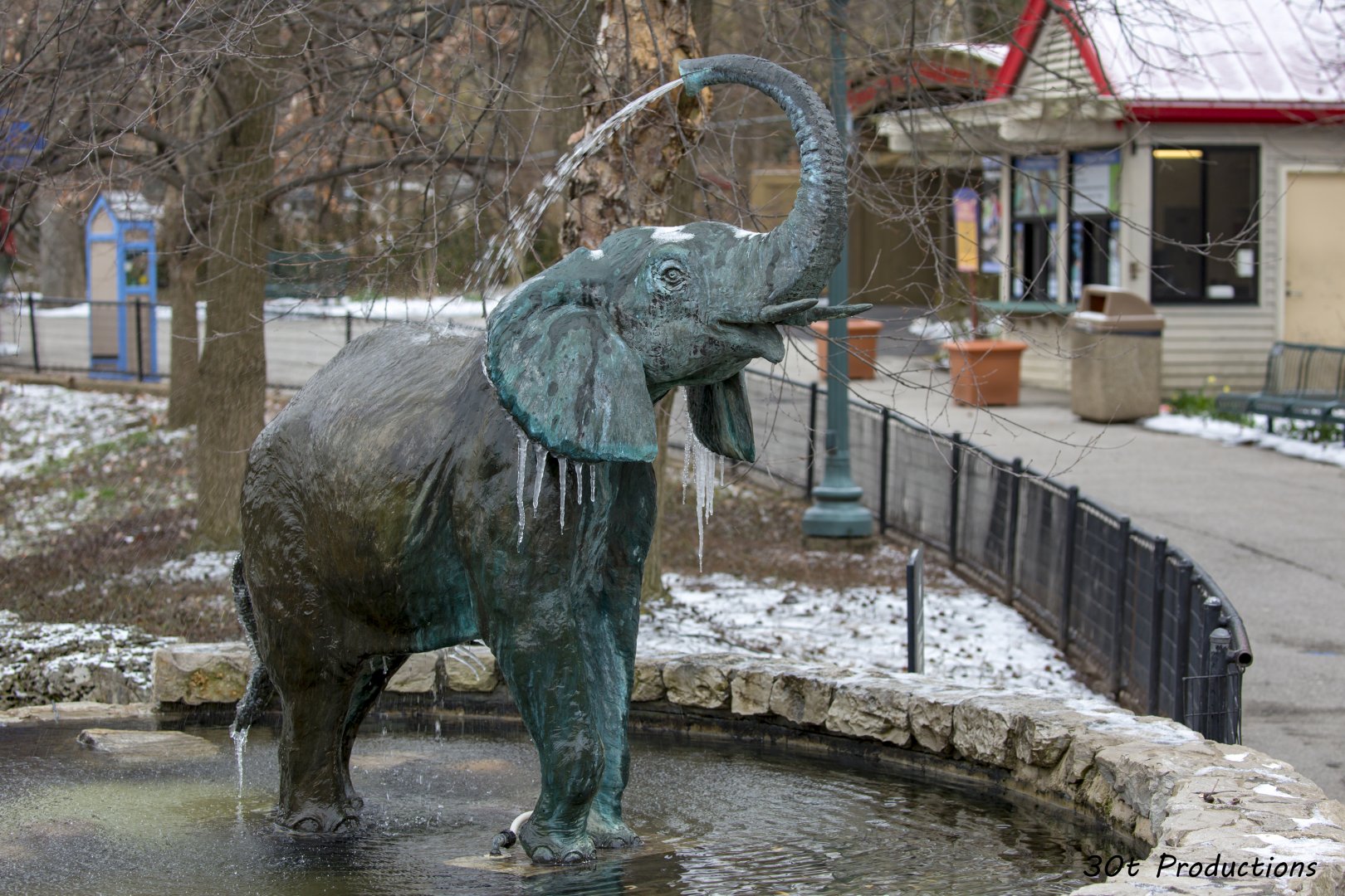 Elephant fountain