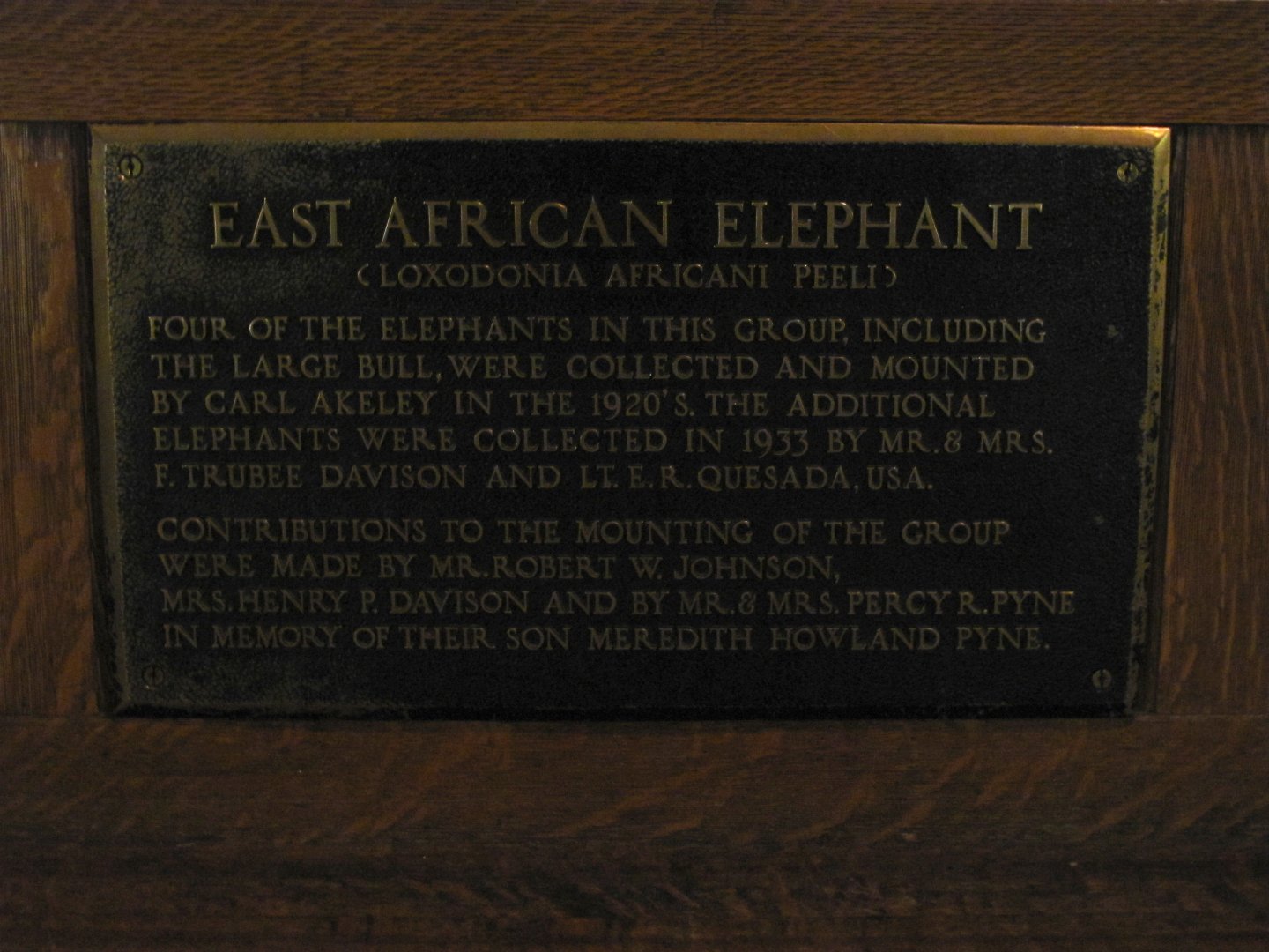 Elephant Group Plaque
