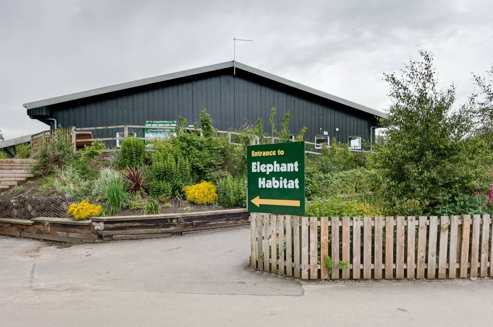 Elephant Habitat - 21/06/2015