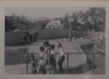 Elephant habitat at the LA Zoo in 1968 or 1969