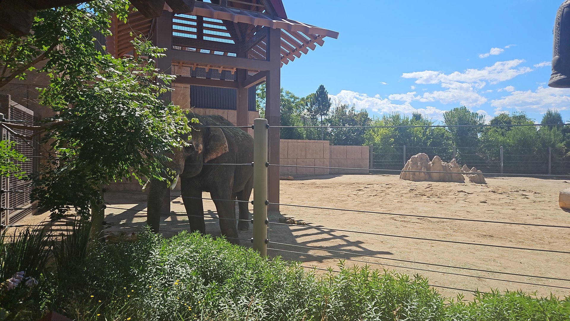Elephant habitat