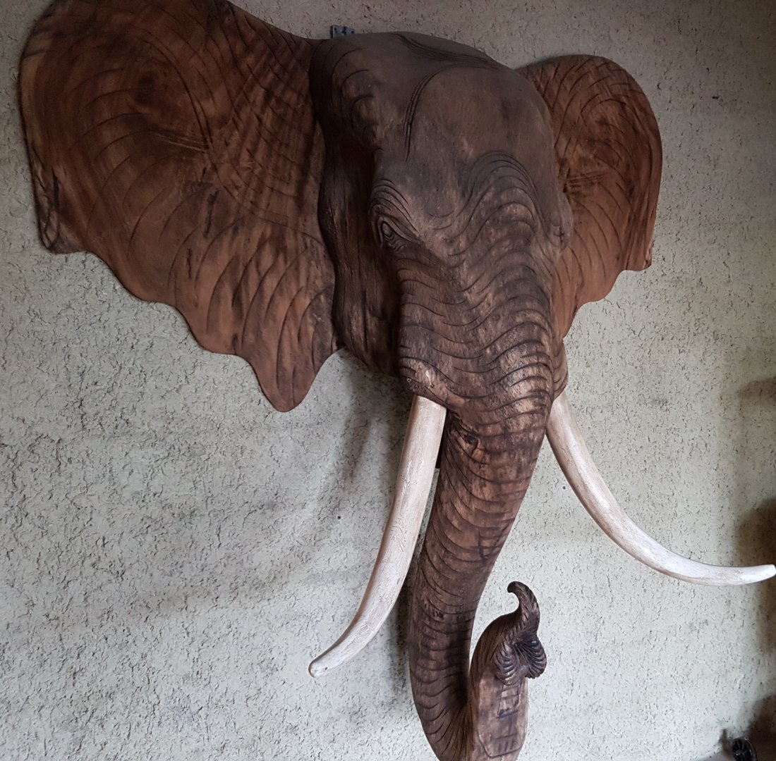 Elephant-head