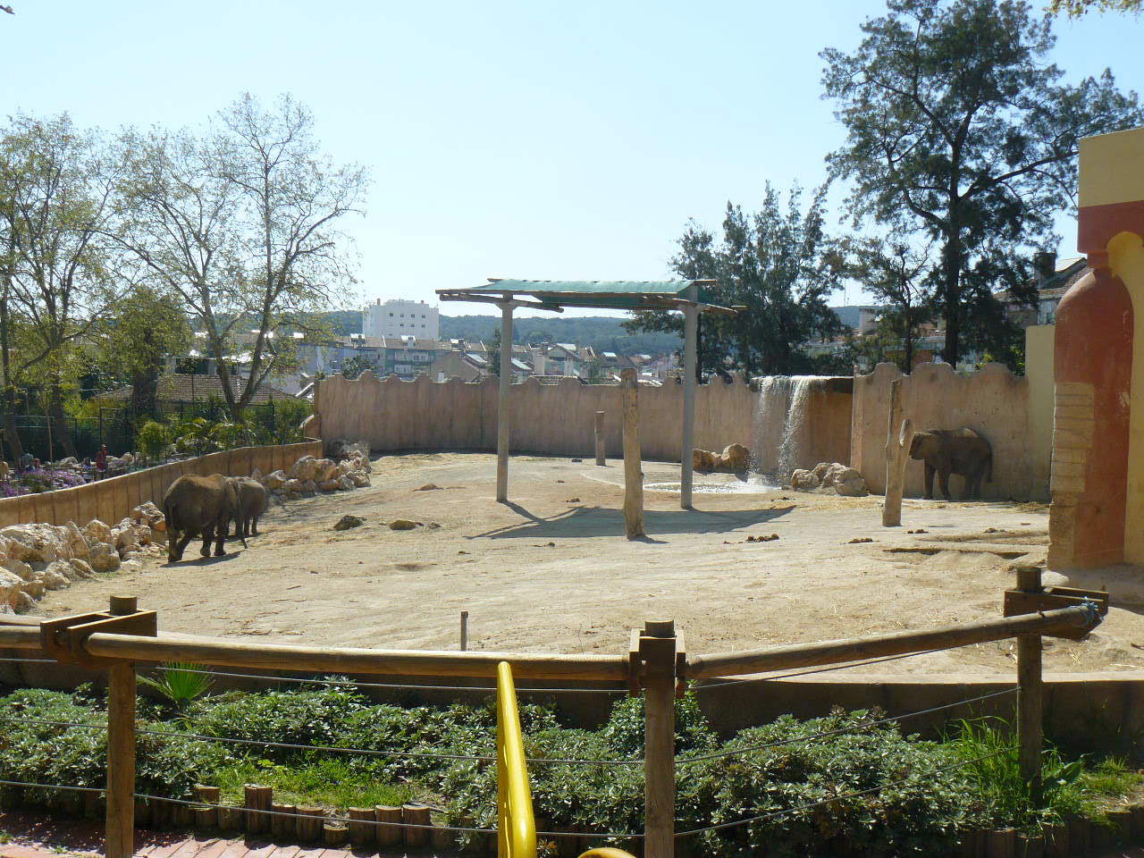 Elephant herd enclosure - Lisbon Zoo