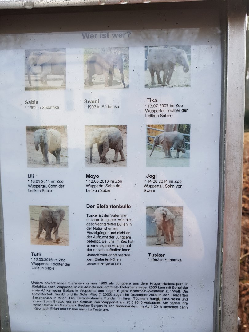 Elephant herd names