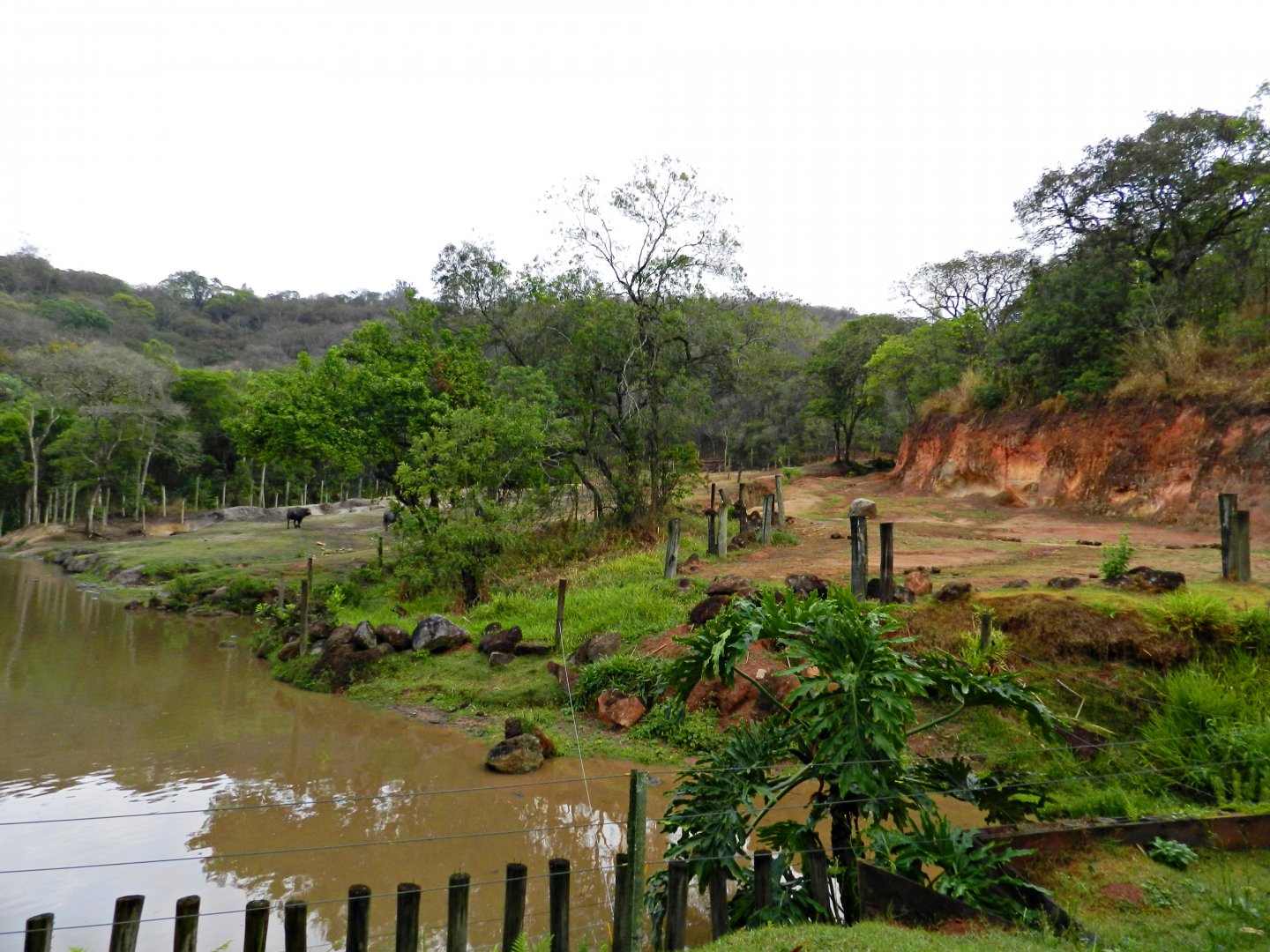 Elephant, hippo and buffalo paddock - Zooparque Itatiba