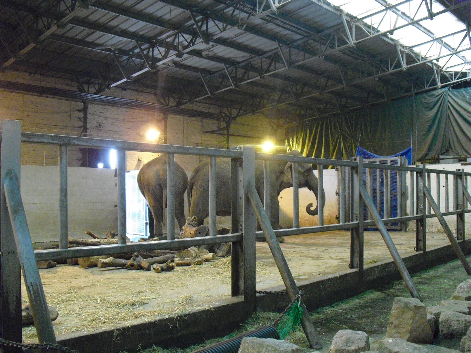 Elephant House - 01/10/2011