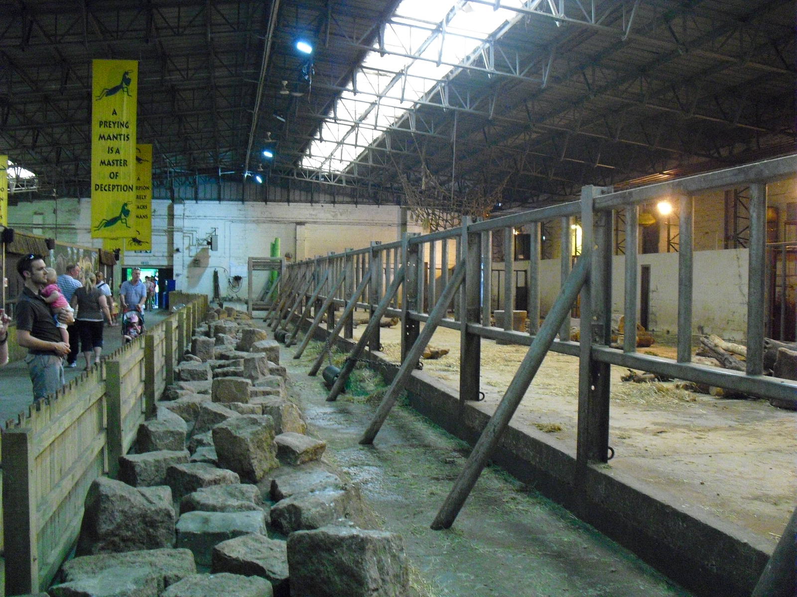 Elephant House - 01/10/2011