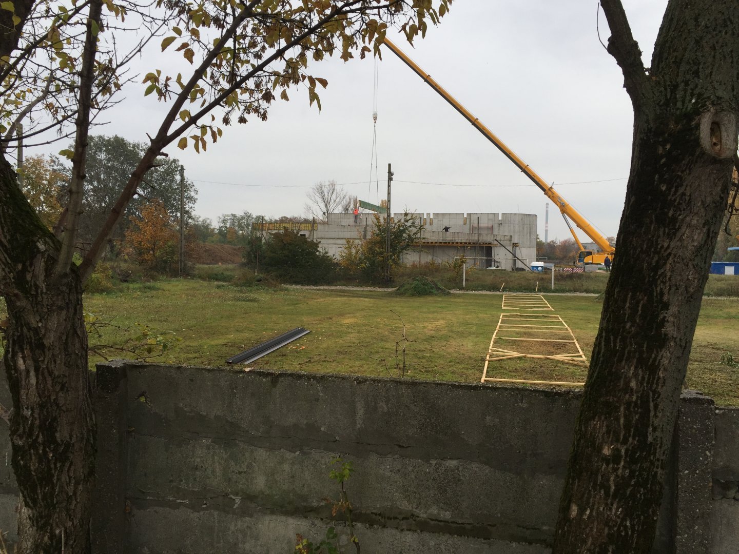 Elephant house 10.2020.