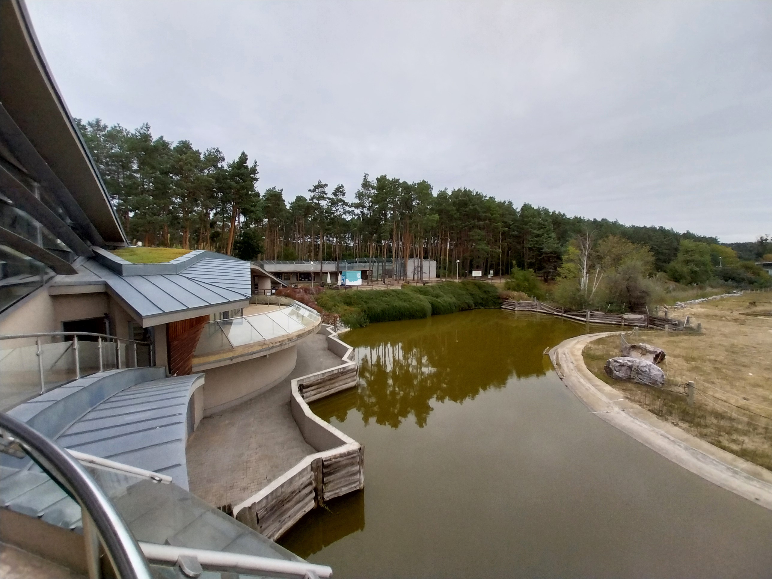 Elephant House - Africa elephant Loxondonta africana)