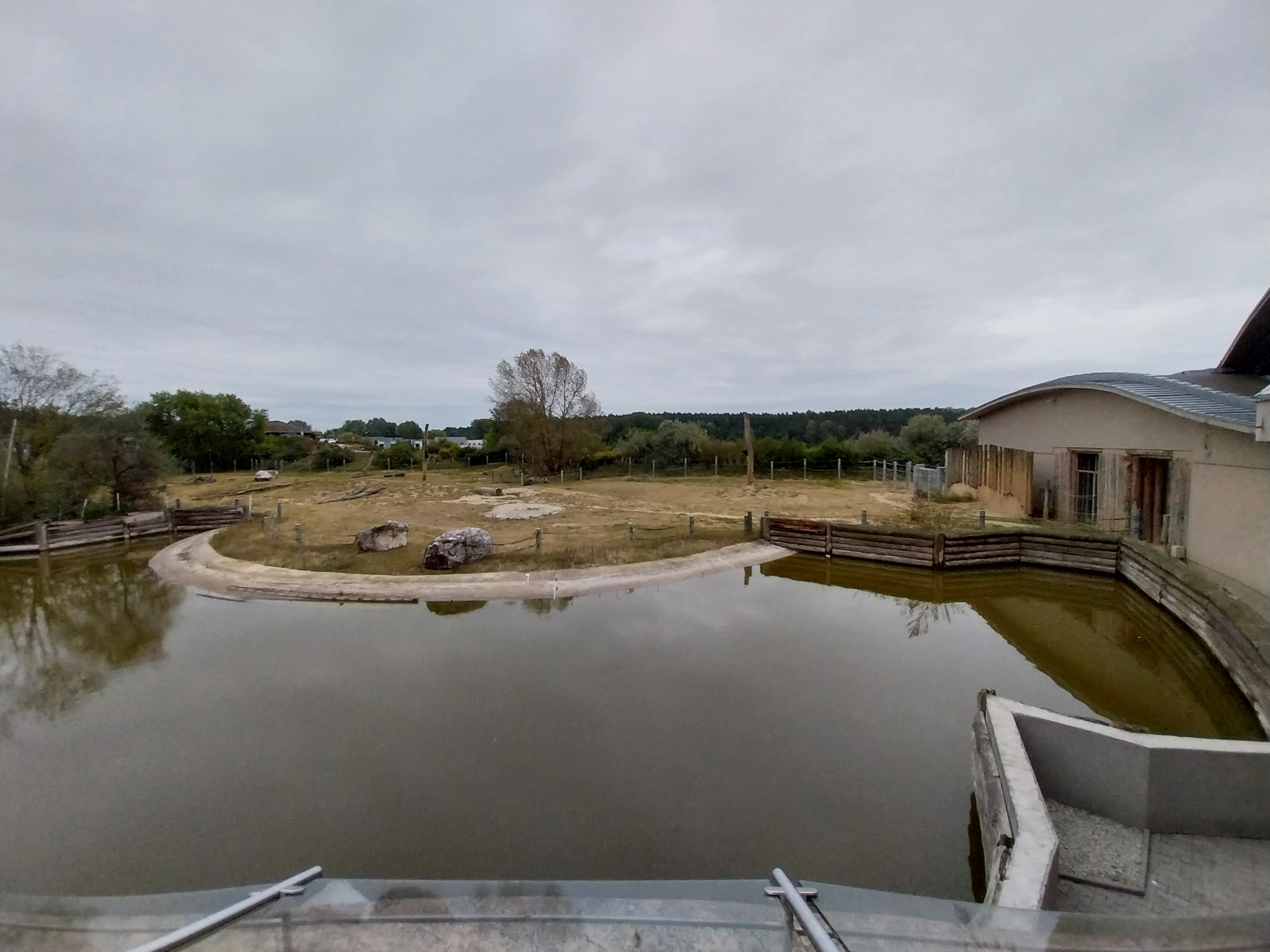 Elephant House - Africa elephant Loxondonta africana)