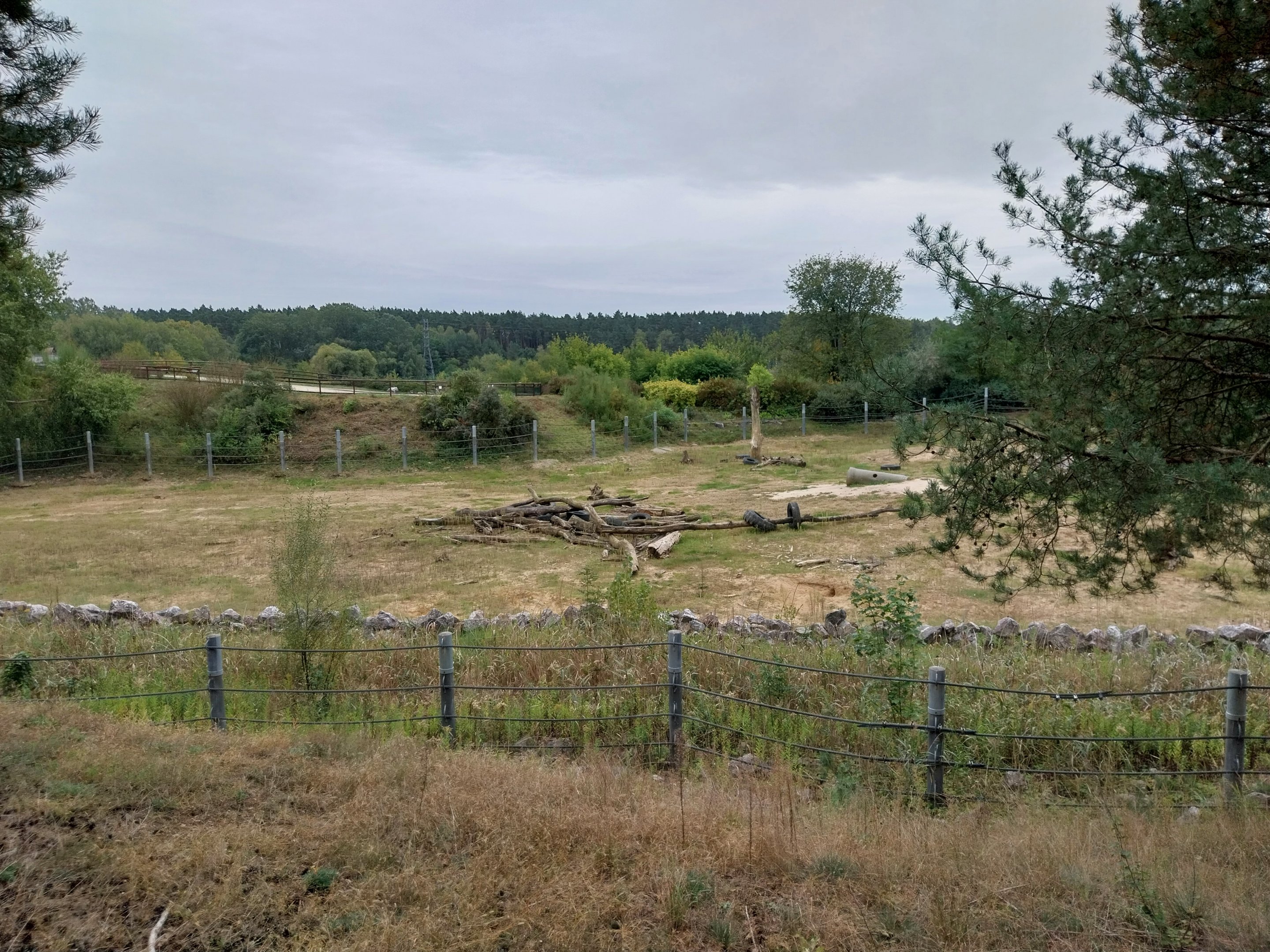 Elephant House - Africa elephant Loxondonta africana)