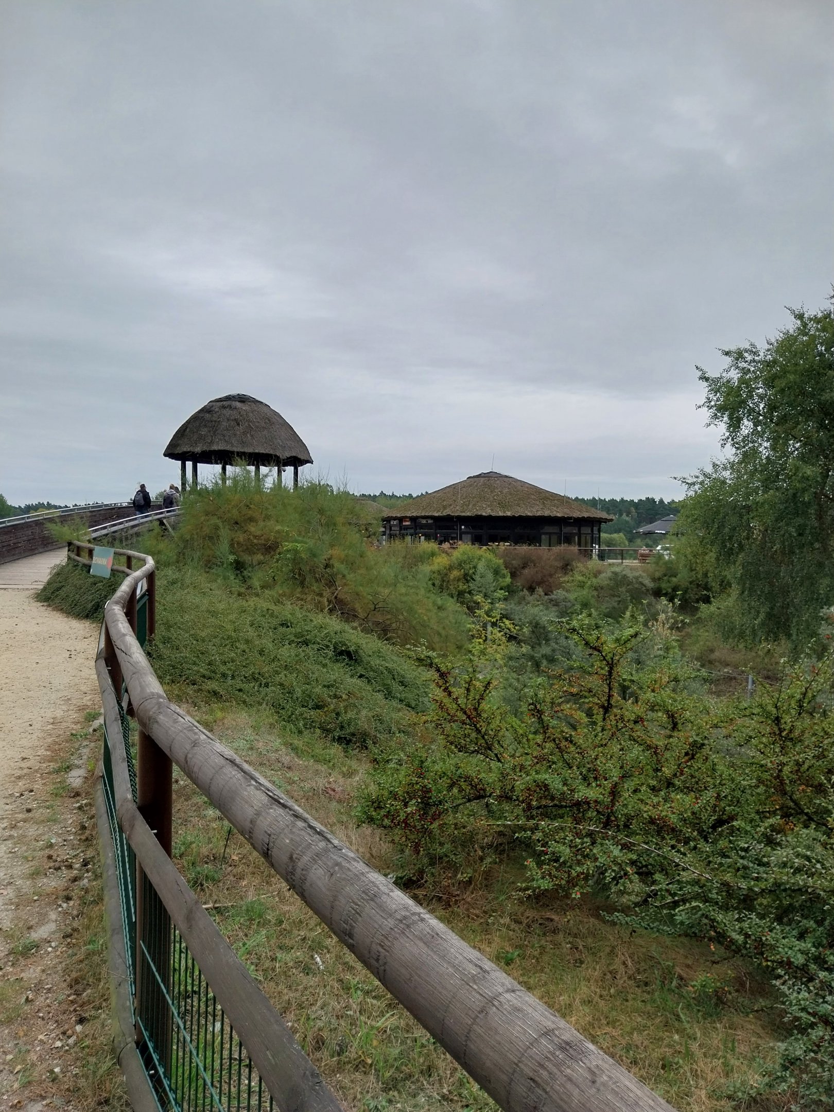 Elephant House - Africa elephant Loxondonta africana)