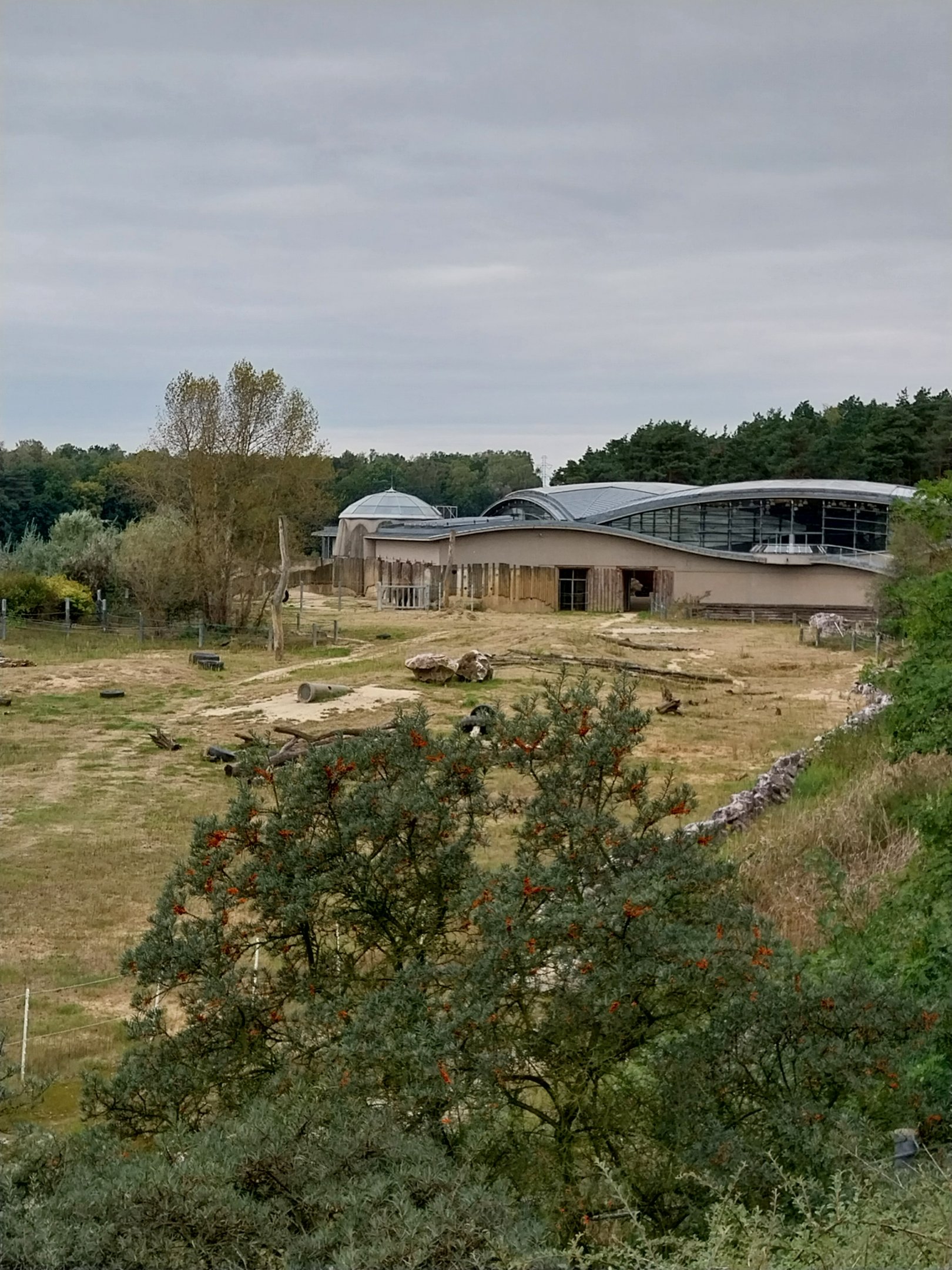 Elephant House - Africa elephant Loxondonta africana)