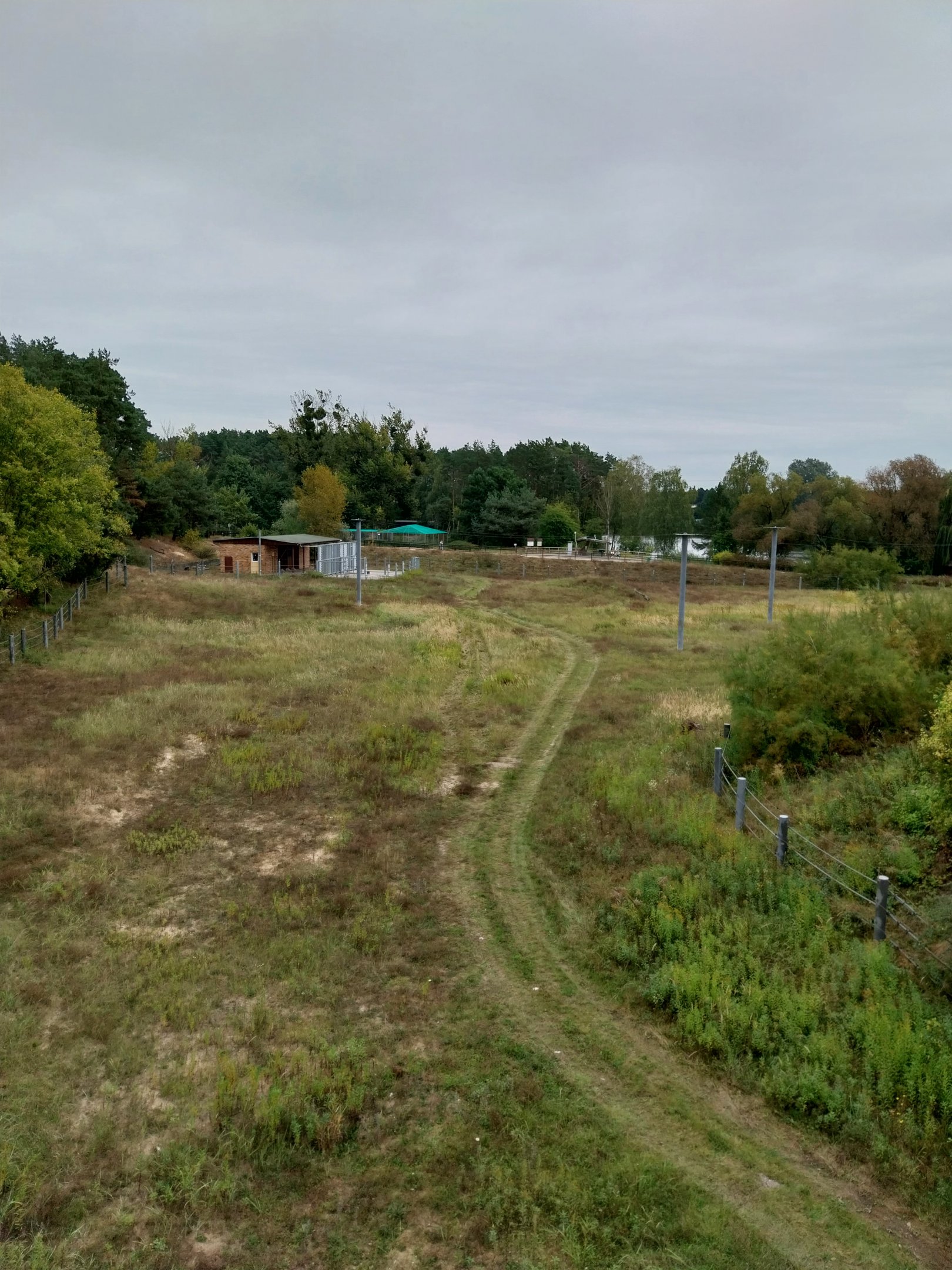 Elephant House - Africa elephant Loxondonta africana)