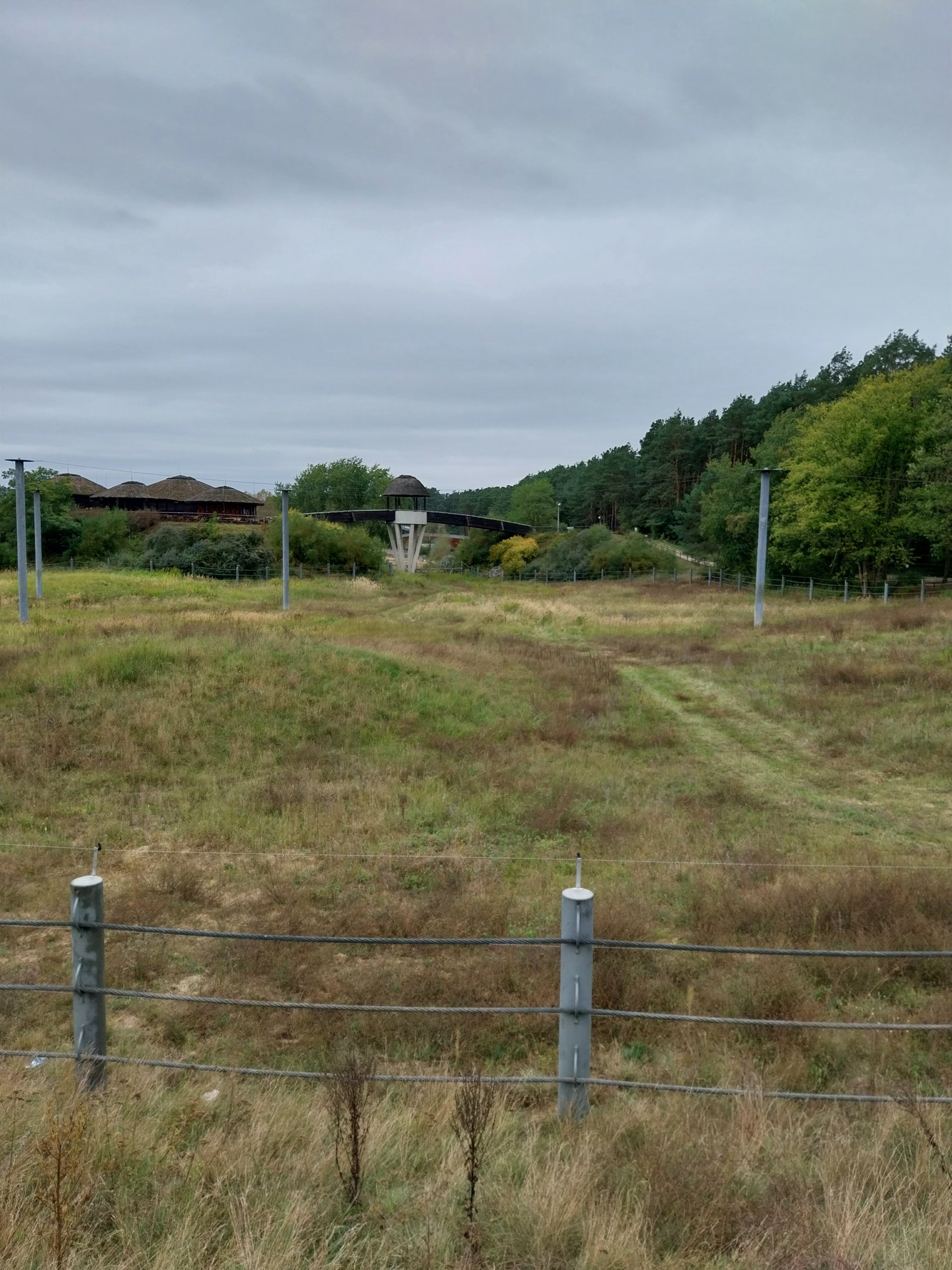 Elephant House - Africa elephant Loxondonta africana)