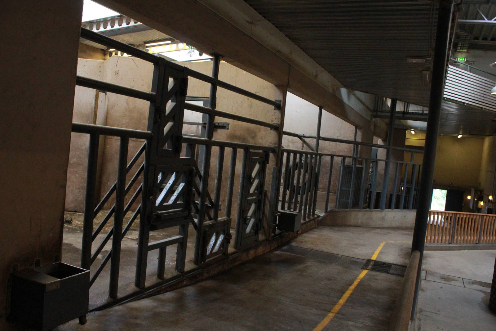 Elephant house - African elephant indoor exhibit