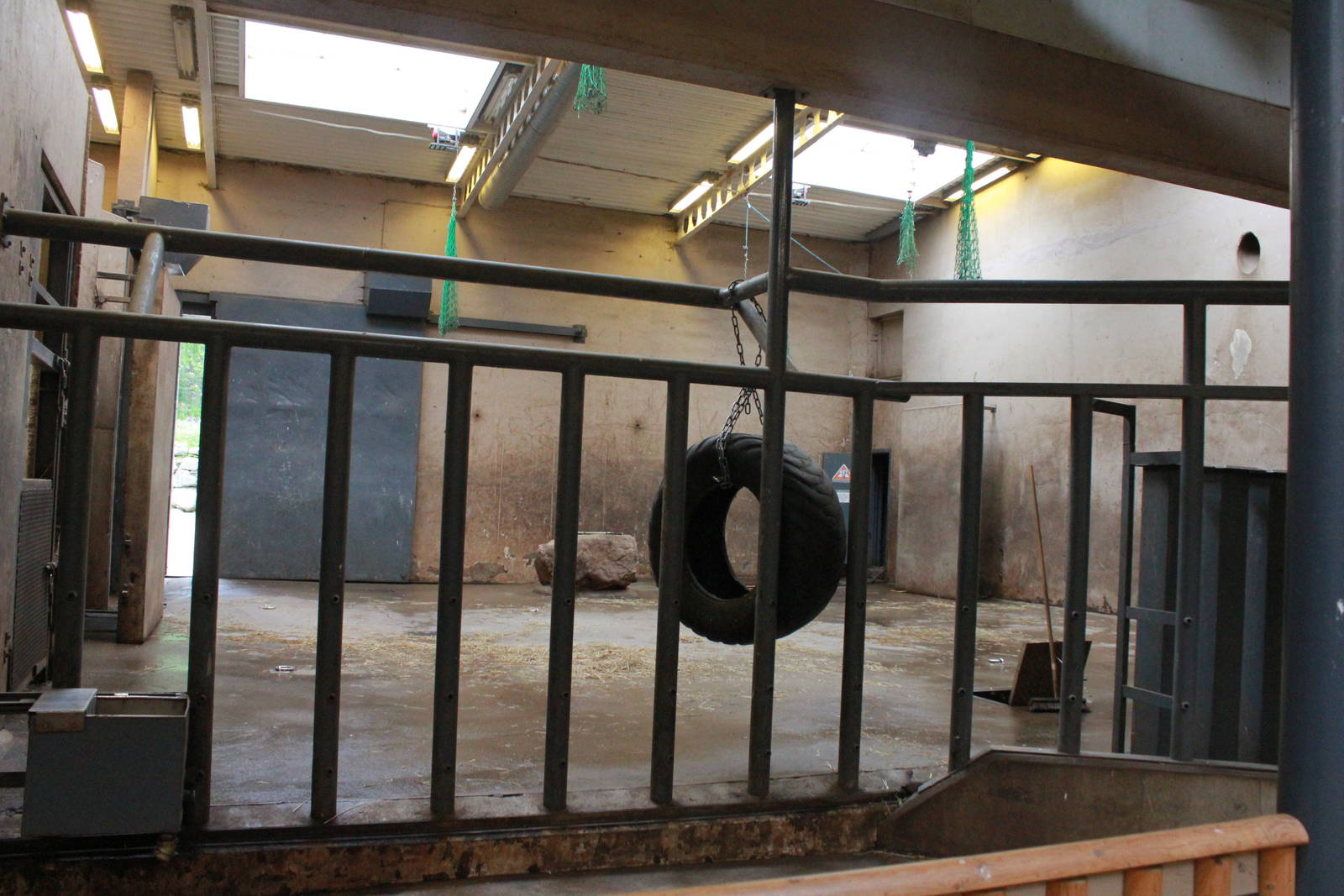 Elephant house - African elephant indoor exhibit