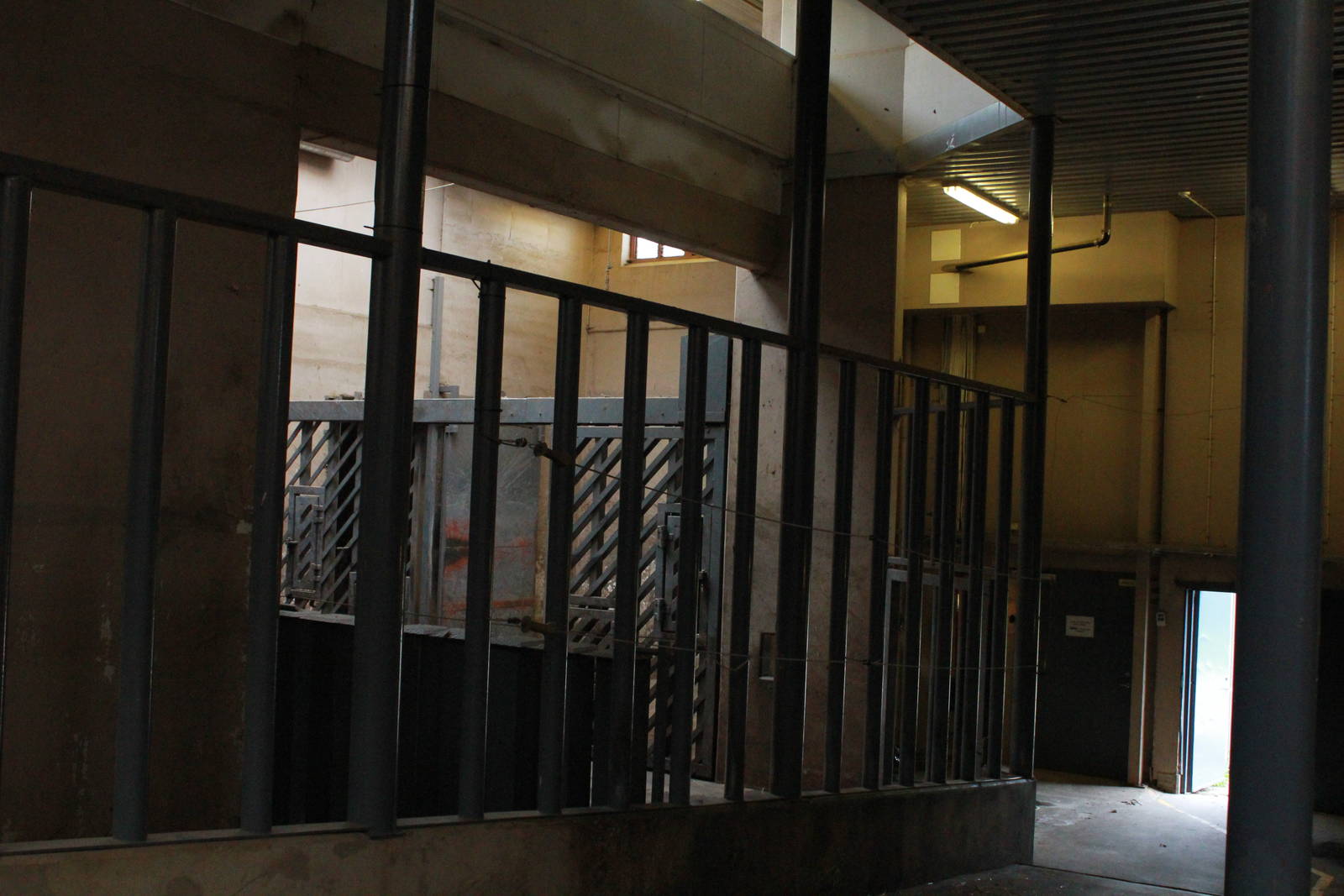 Elephant house - African elephant indoor exhibit