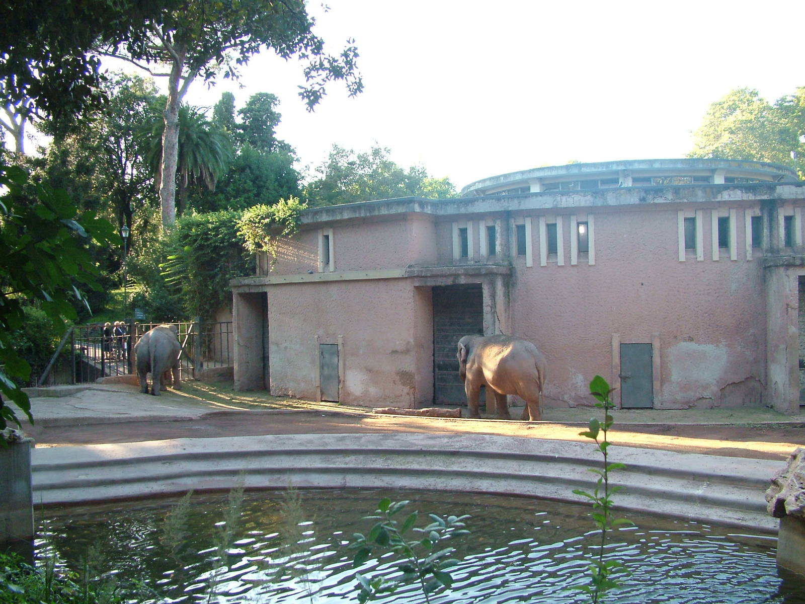 Elephant House and paddock at Bioparco Rome 15/10/09