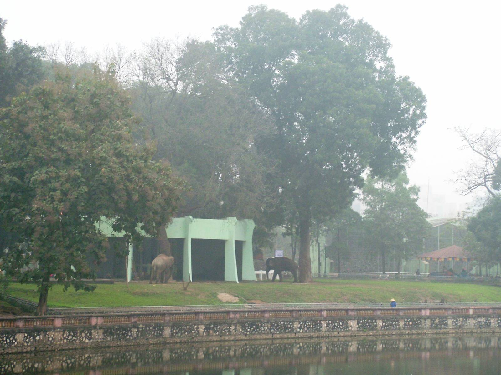 Elephant House and Paddock at Hanoi Zoo, 15/03/12