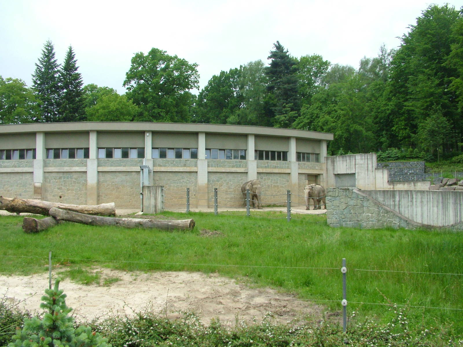 Elephant House and paddock at Ostrava, 29/05/10