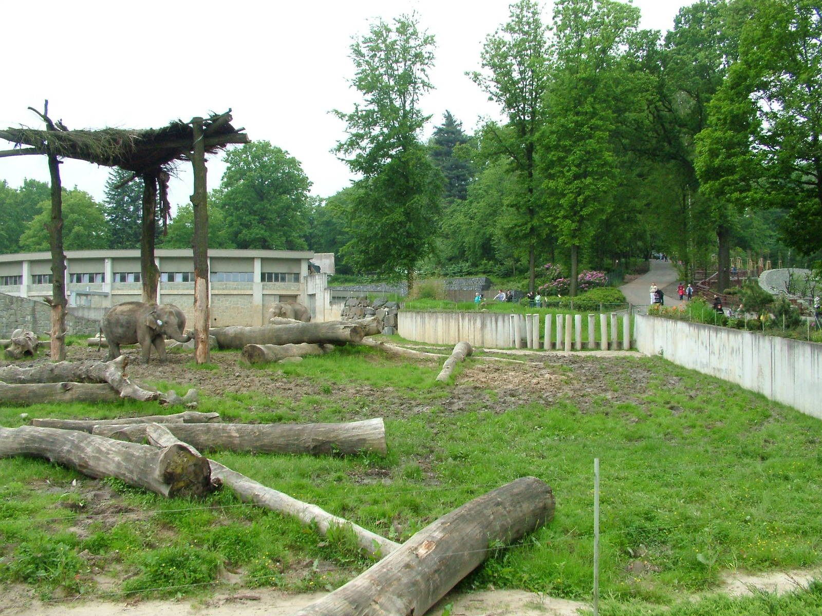 Elephant House and paddock at Ostrava, 29/05/10