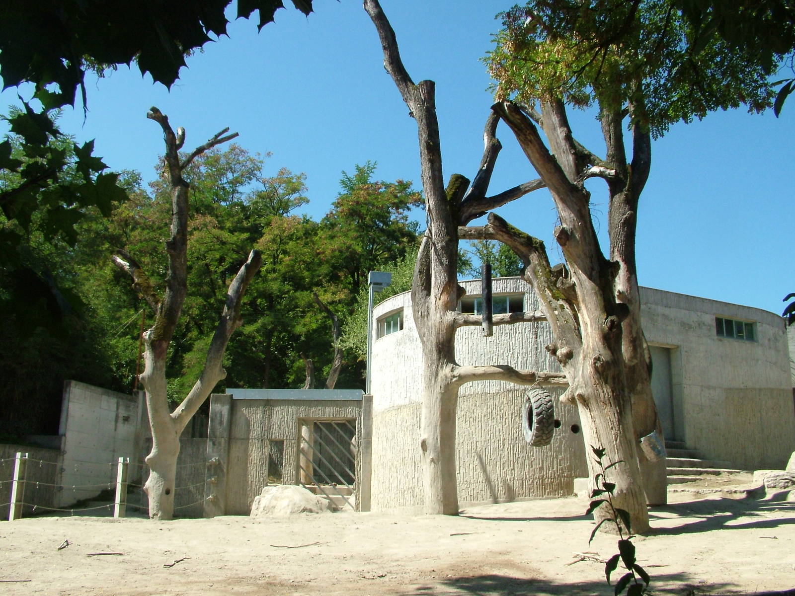 Elephant House and paddock at Zurich 31/08/09