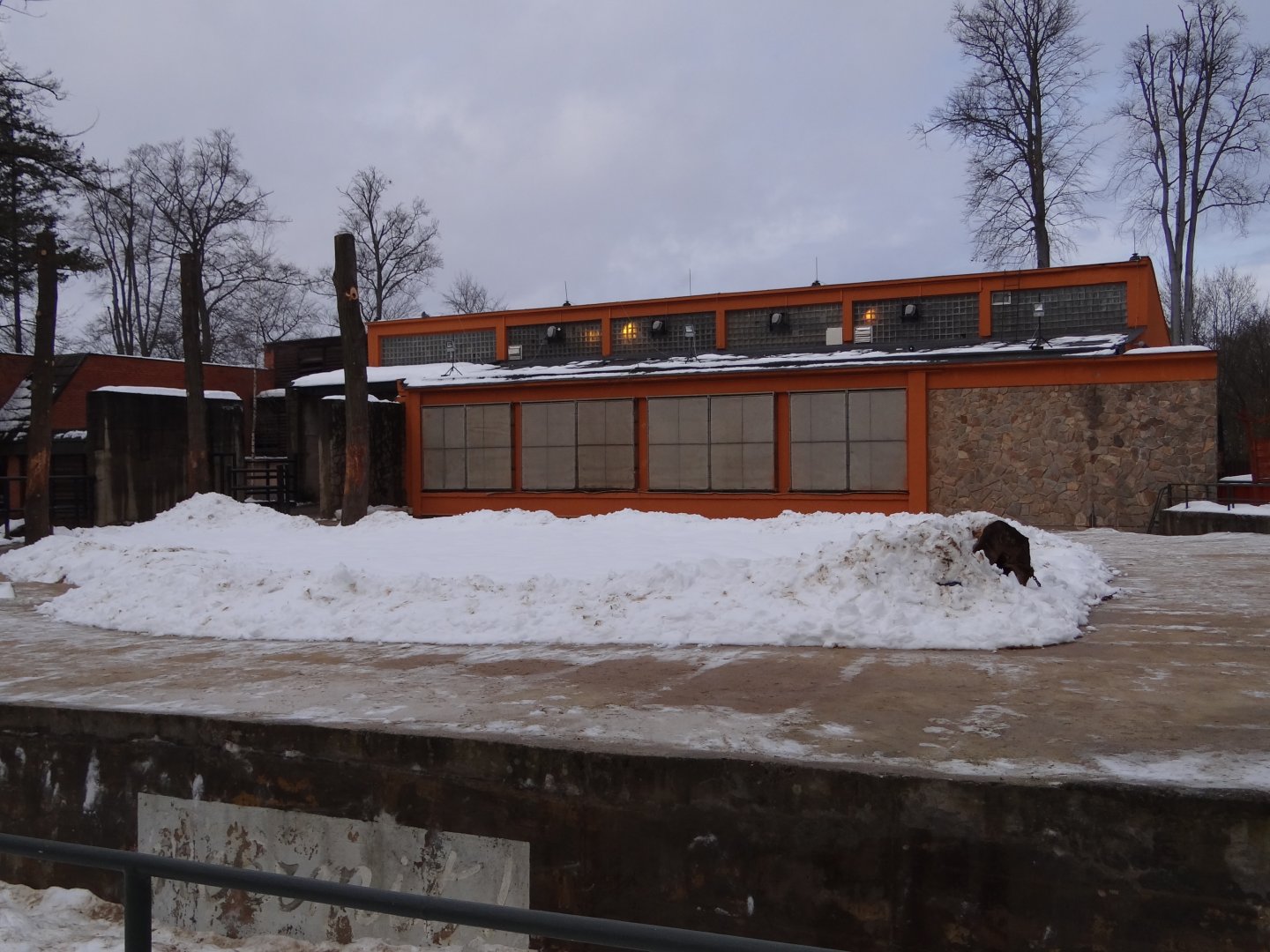 Elephant House and paddock