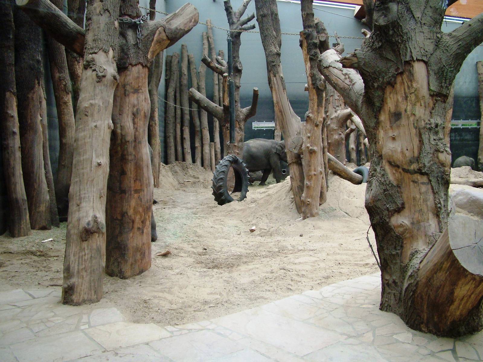 Elephant House at Amersfoort, 01/06/12