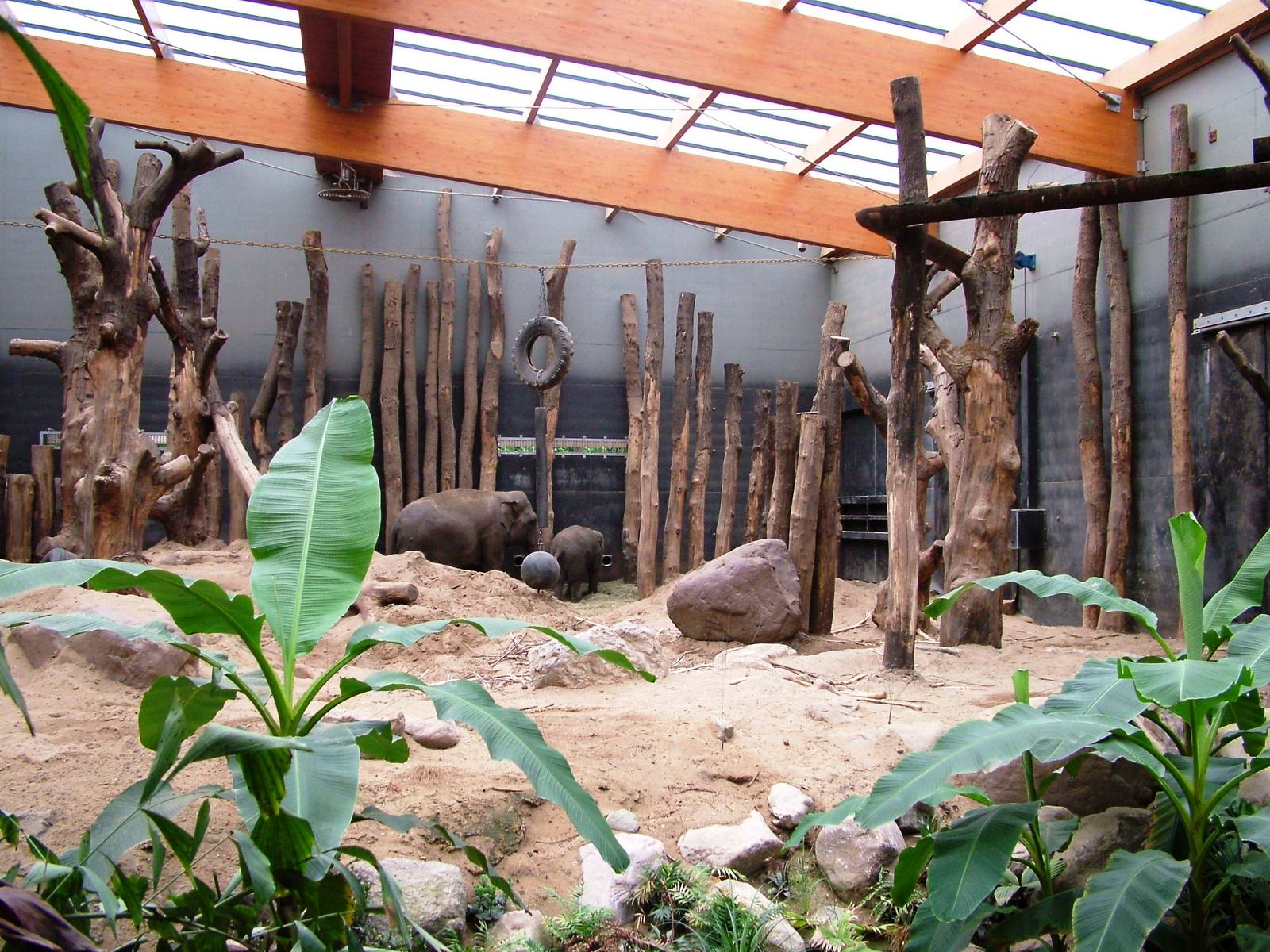 Elephant House at Amersfoort, 01/06/12